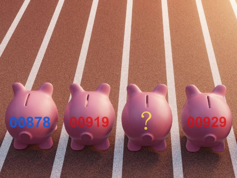 高息ETF吸金王是它！00919、00929...盤點2024年10大ETF：這檔報酬率近5成，為何4萬股民棄守？